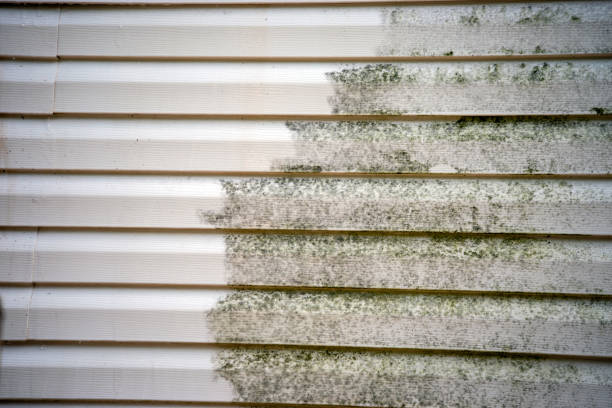 Best Dumpster Rental Services  in Magnolia, AR